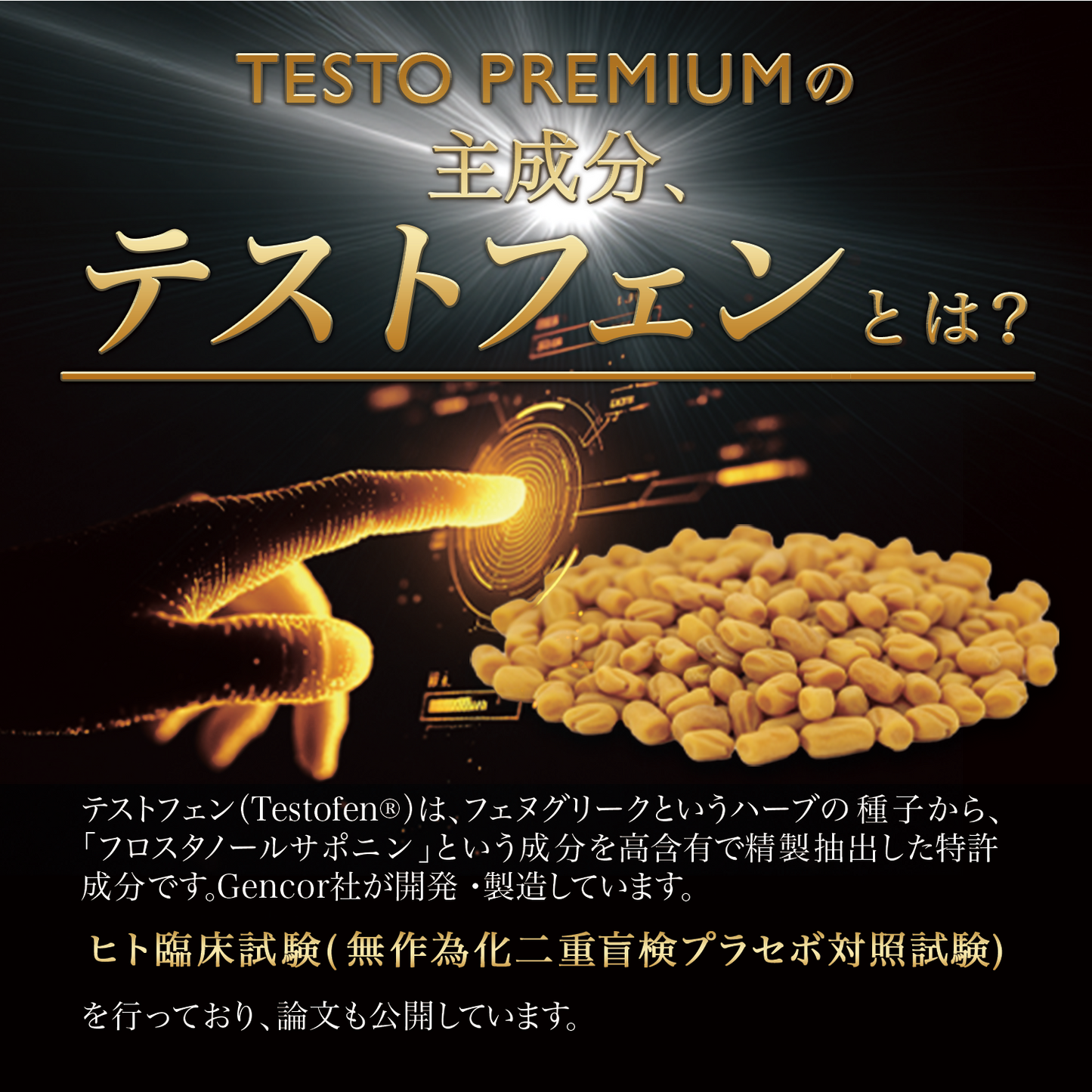 【テストステロンブースター】33,000mg 筋トレ ボディメイク テストフェン バイオドーパ フェヌグリーク アストラジン ビタミンD3 亜鉛 シラジットエキス GMP認定国内工場 妊活 サプリ