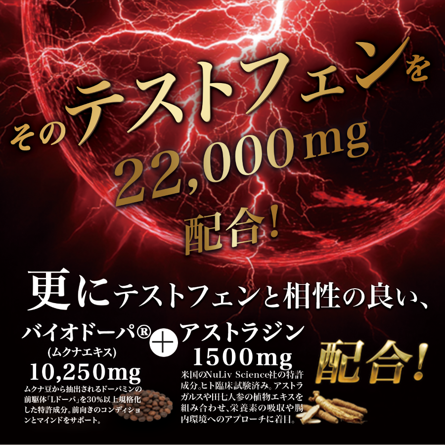 【テストステロンブースター】33,000mg 筋トレ ボディメイク テストフェン バイオドーパ フェヌグリーク アストラジン ビタミンD3 亜鉛 シラジットエキス GMP認定国内工場 妊活 サプリ