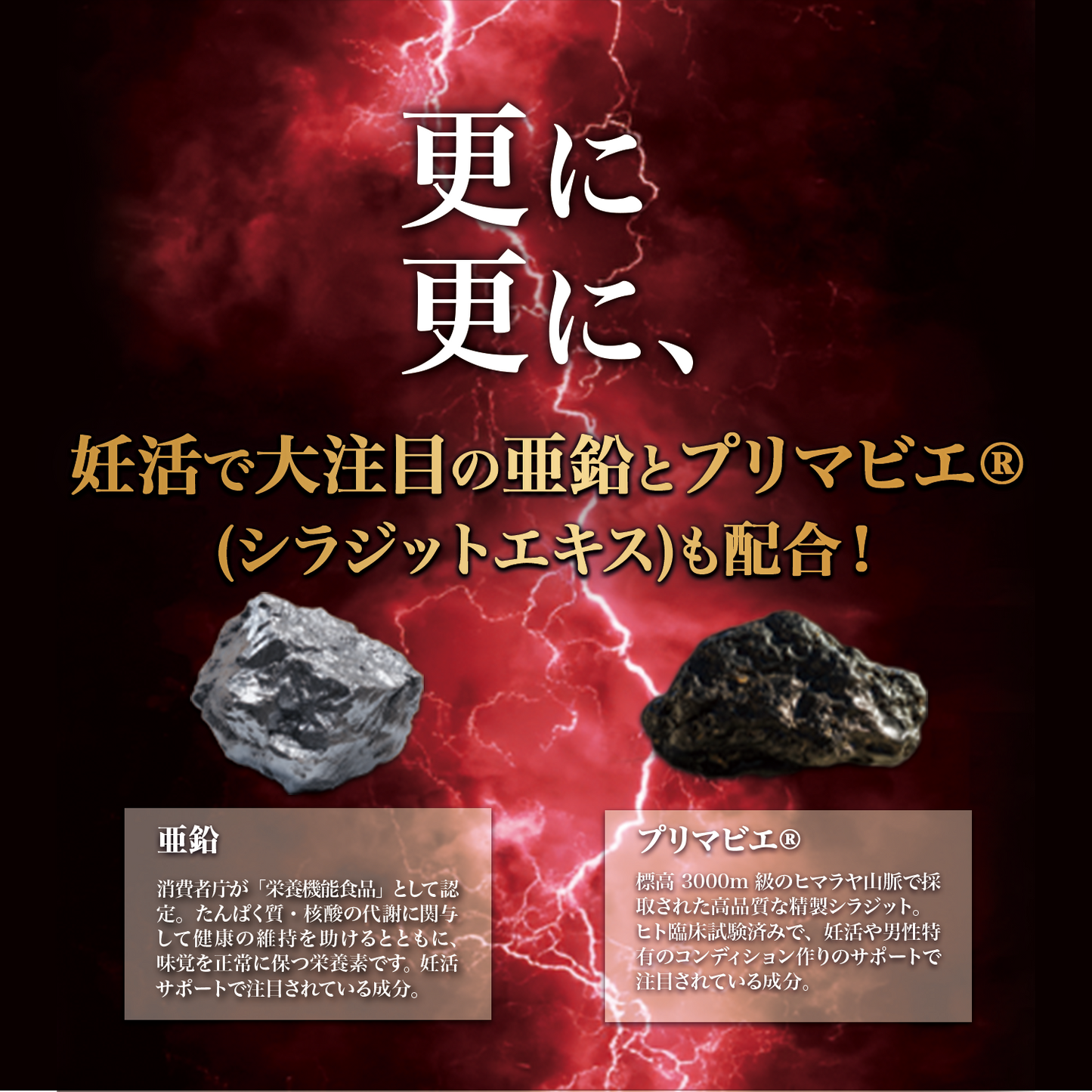 【テストステロンブースター】33,000mg 筋トレ ボディメイク テストフェン バイオドーパ フェヌグリーク アストラジン ビタミンD3 亜鉛 シラジットエキス GMP認定国内工場 妊活 サプリ