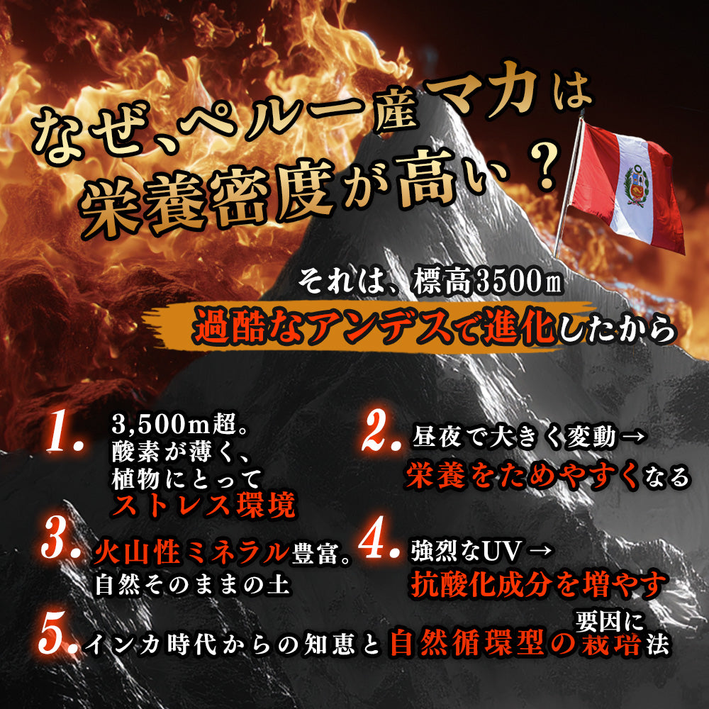 【男の自信を追及】ペルー産20倍濃縮マカ Therma Shield輸送 亜鉛 シトルリン アルギニン 紅高麗人参 カンカエキス シラジットエキス エゾウコギ ムクナエキス