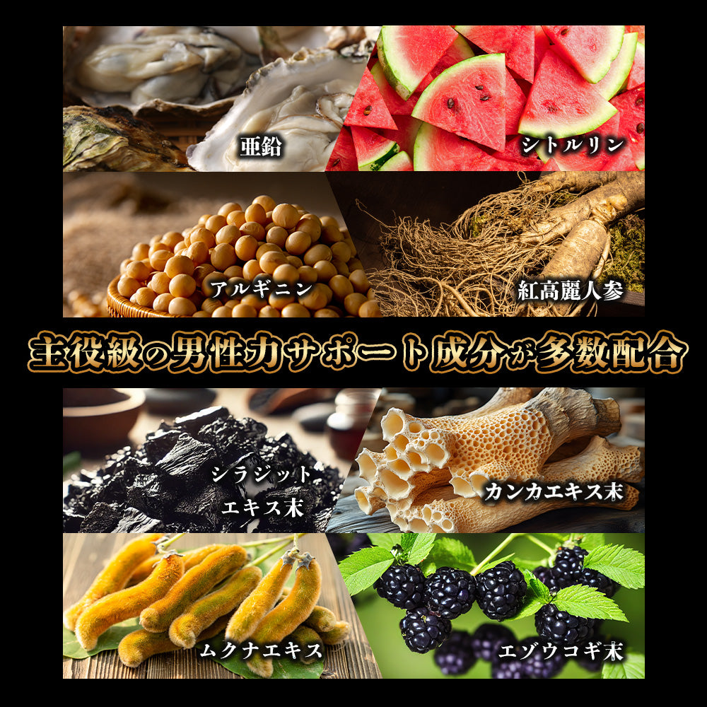 【男の自信を追及】ペルー産20倍濃縮マカ Therma Shield輸送 亜鉛 シトルリン アルギニン 紅高麗人参 カンカエキス シラジットエキス エゾウコギ ムクナエキス
