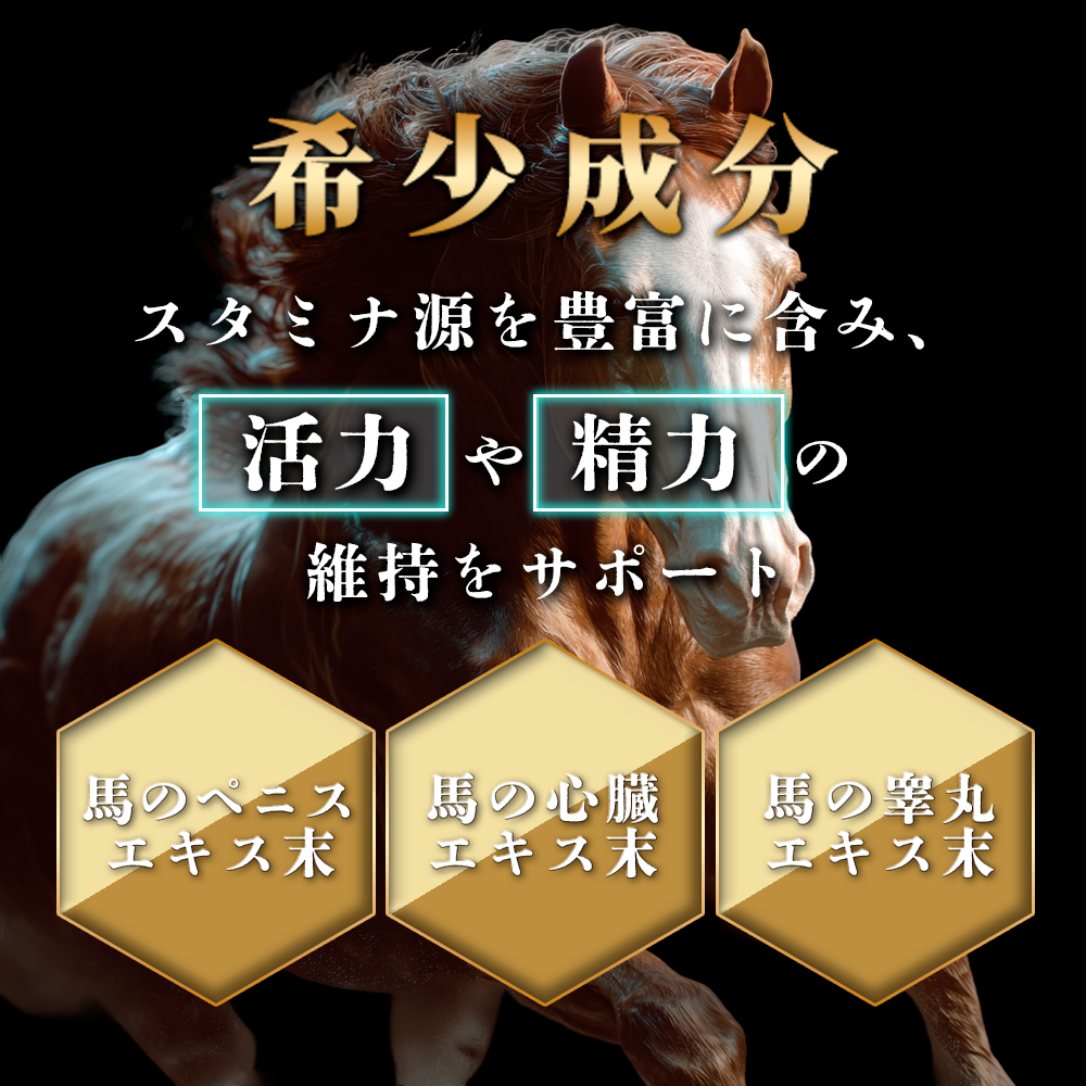 【男性妊活】1粒に60成分 亜鉛15mg シトルリン アルギニン マカ サソリ 馬 オットセイ トナカイ トンカットアリ ニンニク ガラナ ノコギリヤシ 牡蠣 ヒハツ 高麗人参フェヌグリーク ムクナ サソリ エゾウコギ 厳選成分配合 サプリ GMP認定国内生産
