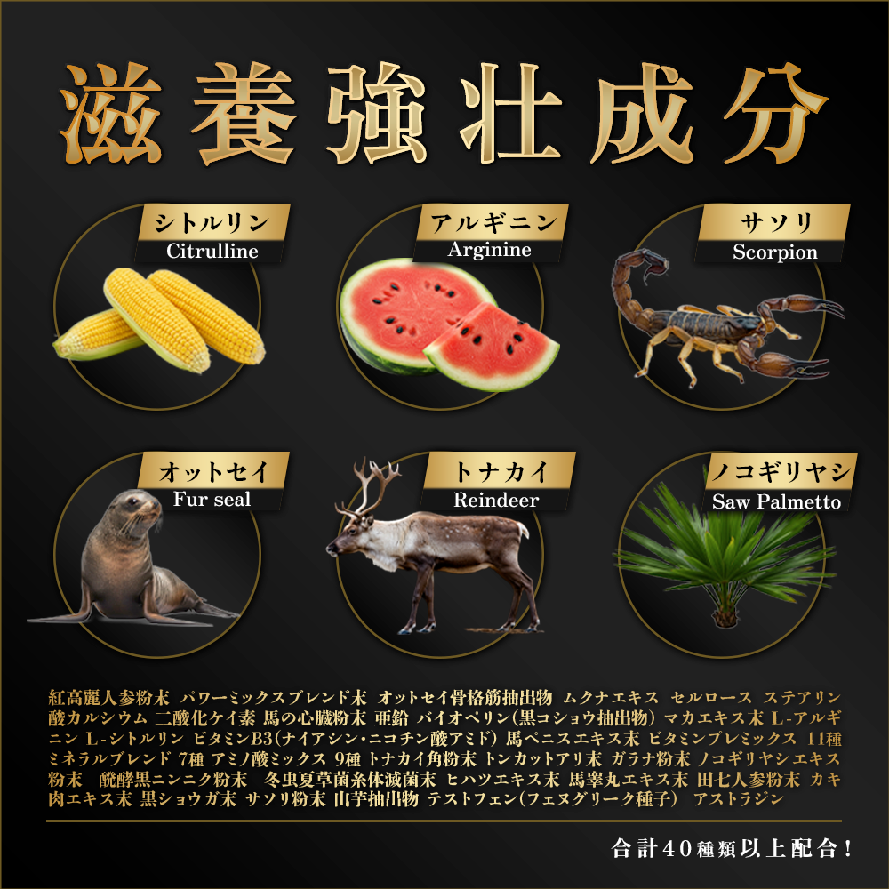 【男性妊活】1粒に60成分 亜鉛15mg シトルリン アルギニン マカ サソリ 馬 オットセイ トナカイ トンカットアリ ニンニク ガラナ ノコギリヤシ 牡蠣 ヒハツ 高麗人参フェヌグリーク ムクナ サソリ エゾウコギ 厳選成分配合 サプリ GMP認定国内生産