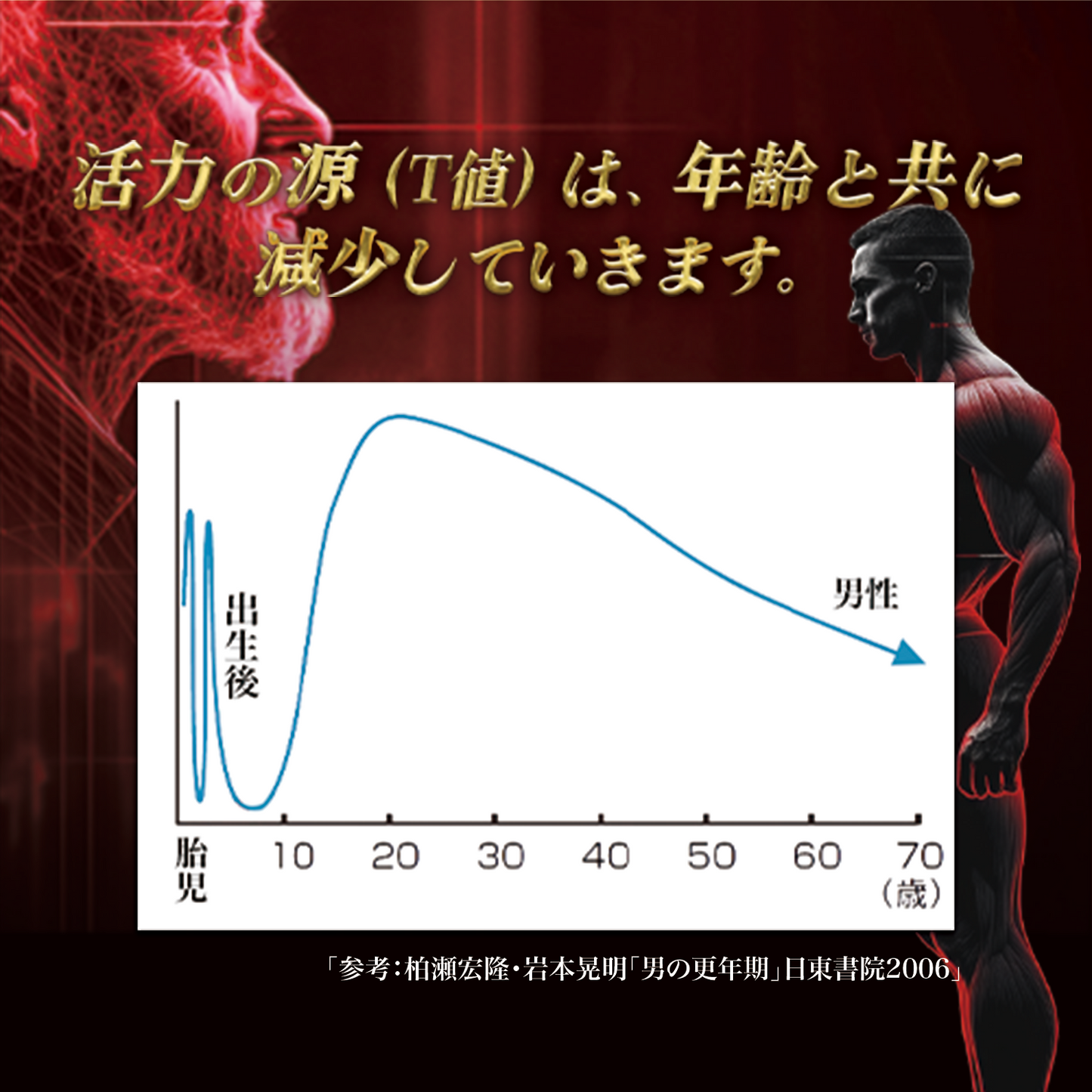 【テストステロンブースター】33,000mg 筋トレ ボディメイク テストフェン バイオドーパ フェヌグリーク アストラジン ビタミンD3 亜鉛 シラジットエキス GMP認定国内工場 妊活 サプリ