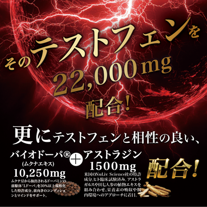 【テストステロンブースター】33,000mg 筋トレ ボディメイク テストフェン バイオドーパ フェヌグリーク アストラジン ビタミンD3 亜鉛 シラジットエキス GMP認定国内工場 妊活 サプリ