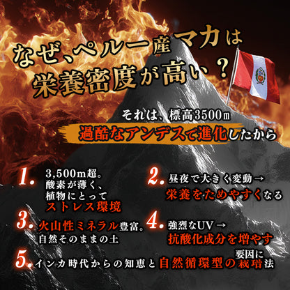【男の自信を追及】ペルー産20倍濃縮マカ Therma Shield輸送 亜鉛 シトルリン アルギニン 紅高麗人参 カンカエキス シラジットエキス エゾウコギ ムクナエキス